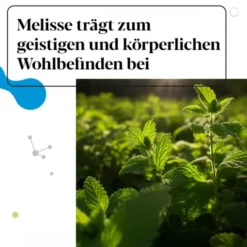 IBEROBIOTICS Zen Kapseln 28 Stück