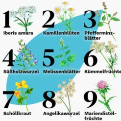 IBEROGAST Classic Flüssigkeit zum Einnehmen 20 ml