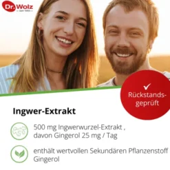 INGWER EXTRAKT Dr.Wolz Kapseln 120 Stück