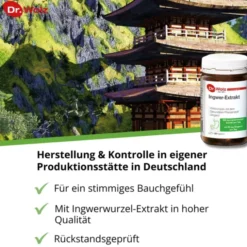 INGWER EXTRAKT Dr.Wolz Kapseln 120 Stück