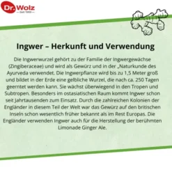 INGWER EXTRAKT Dr.Wolz Kapseln 120 Stück