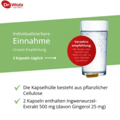INGWER EXTRAKT Dr.Wolz Kapseln 120 Stück