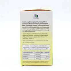 INGWER 500 mg Kapseln+Vitamin B1+C 90 Stück