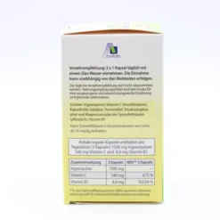 INGWER 500 mg Kapseln+Vitamin B1+C 90 Stück