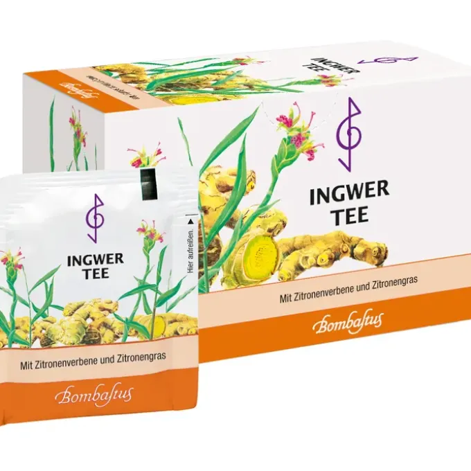 INGWER TEE Filterbeutel 20 Stück