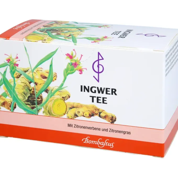 INGWER TEE Filterbeutel 20 Stück