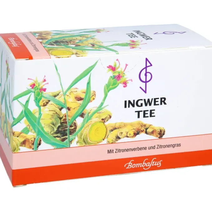 INGWER TEE Filterbeutel 20 Stück