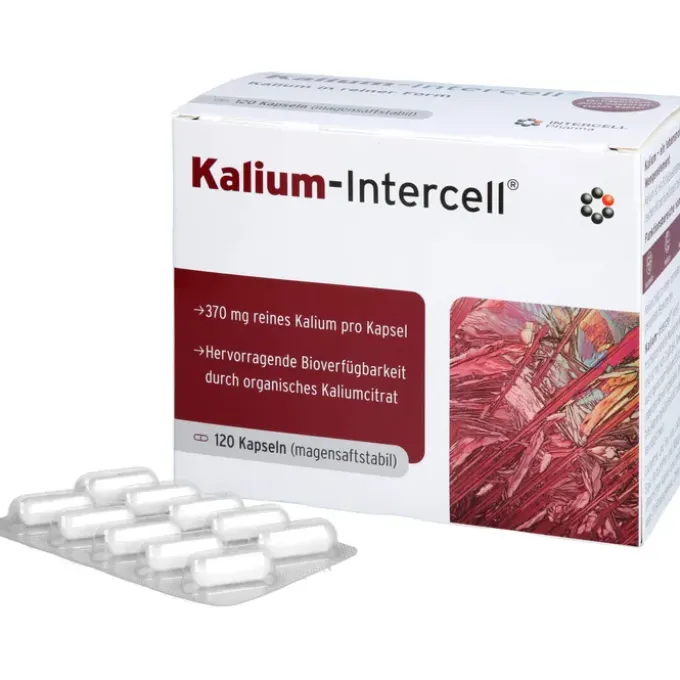 KALIUM-INTERCELL magensaftresistente Hartkapseln 120 Stück