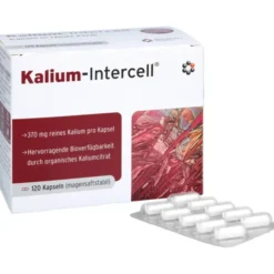 KALIUM-INTERCELL magensaftresistente Hartkapseln 120 Stück