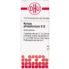 KALIUM PHOSPHORICUM D 12 Globuli 10 g
