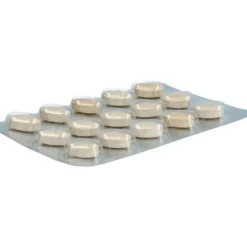 KLOSTERFRAU Artischocke plus Cholin Tabletten 30 Stück  à 0,67 g