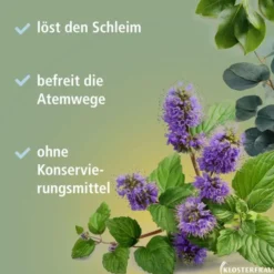 KLOSTERFRAU Erkältungs-Balsam 20 g