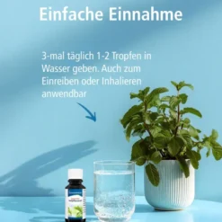 KLOSTERFRAU Japanisches Heilpflanzenöl 20 ml