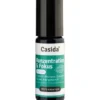 KONZENTRATION & Fokus Roll-on 10 ml