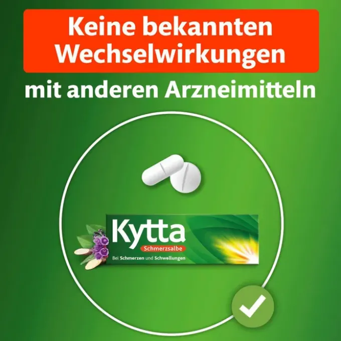KYTTA Schmerzsalbe 100 g