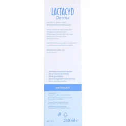 LACTACYD Derma Waschsyndet 250 ml