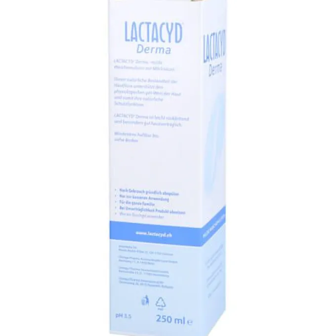 LACTACYD Derma Waschsyndet 250 ml