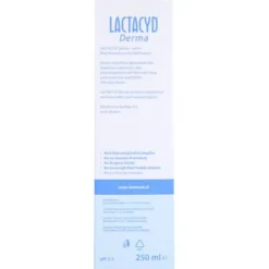 LACTACYD Derma Waschsyndet 250 ml