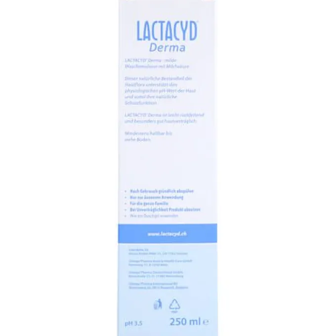 LACTACYD Derma Waschsyndet 250 ml