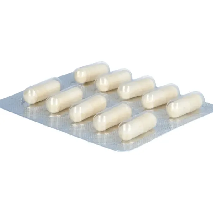 LACTOBACT PREMIUM magensaftresistente Kapseln 10 Stück