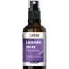 LAVENDELSPRAY Kissenspray mit Lavendelöl 50 ml