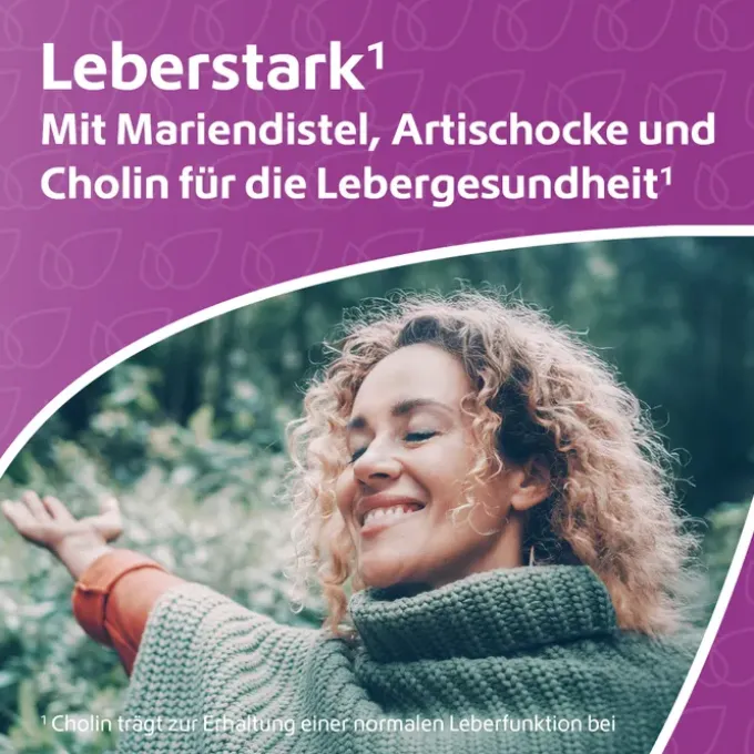 LEBER-KOMPLEX Mariendistel+Artischocke+Cholin Kps. 120 Stück