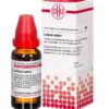 LEDUM EXTERN Tinktur 20 ml