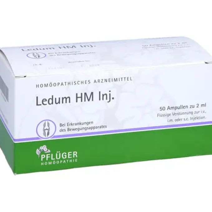 LEDUM HM Injekt Ampullen 50 St