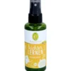 LEICHTER lernen Raumspray Bio 50 ml