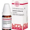 LEONURUS CARDIACA D 6 Globuli 10 g