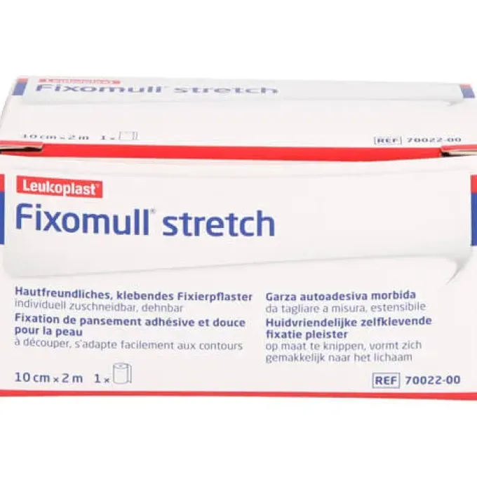 LEUKOPLAST Fixomull stretch 10 cmx2 m 1 St