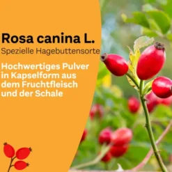 LITOZIN Hagebuttenpulver 130 g