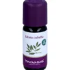 LITSEA cubeba Öl Bio 10 ml