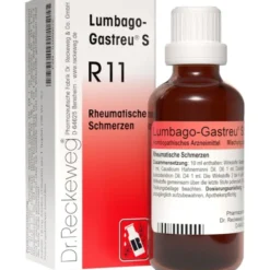 LUMBAGO-GASTREU S R11 Mischung 22 ml