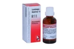LUMBAGO-GASTREU S R11 Mischung 22 ml