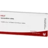 LYCOPODIUM COMP.Ampullen 10X1 ml