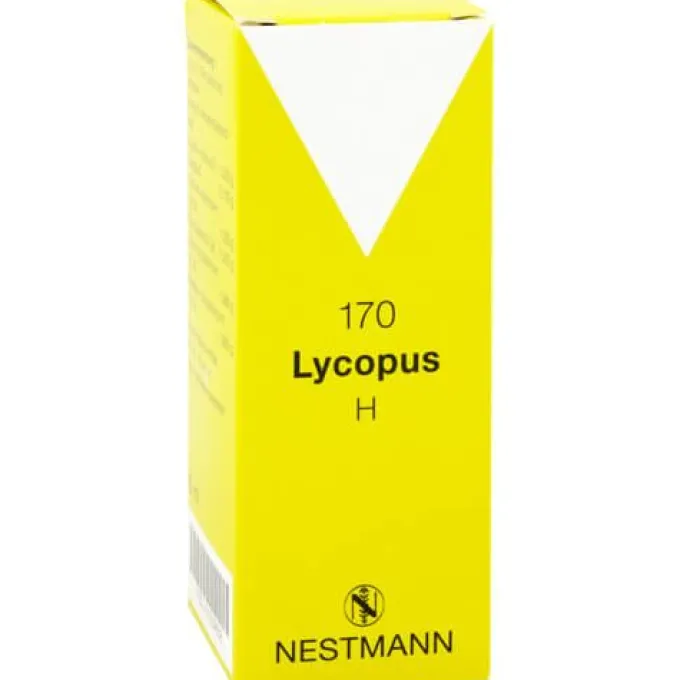 LYCOPUS H Nr.170 Tropfen 50 ml