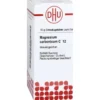 MAGNESIUM CARBONICUM C 12 Globuli 10 g