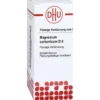 MAGNESIUM CARBONICUM D 6 Dilution 20 ml