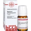 MAGNESIUM PHOSPHORICUM D 6 Tabletten 80 St