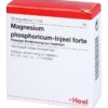 MAGNESIUM PHOSPHORICUM INJEEL forte Ampullen 10 St