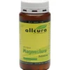 MAGNESIUM TABLETTEN 250 Stück