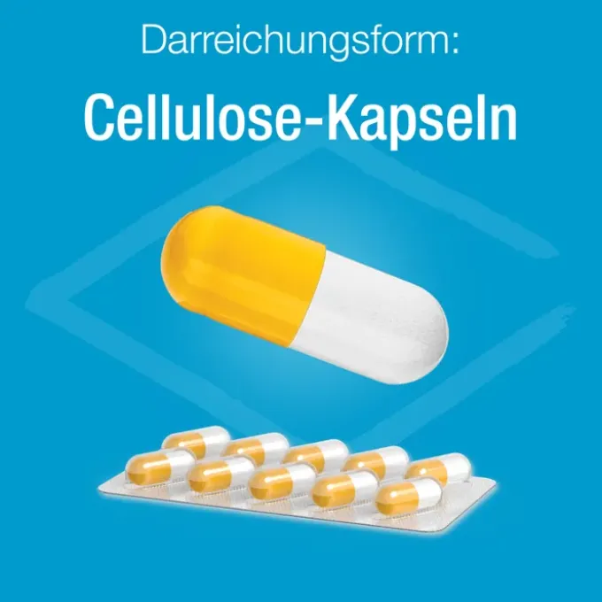 MAGNESIUM VERLA 400 Kapseln 60 Stück