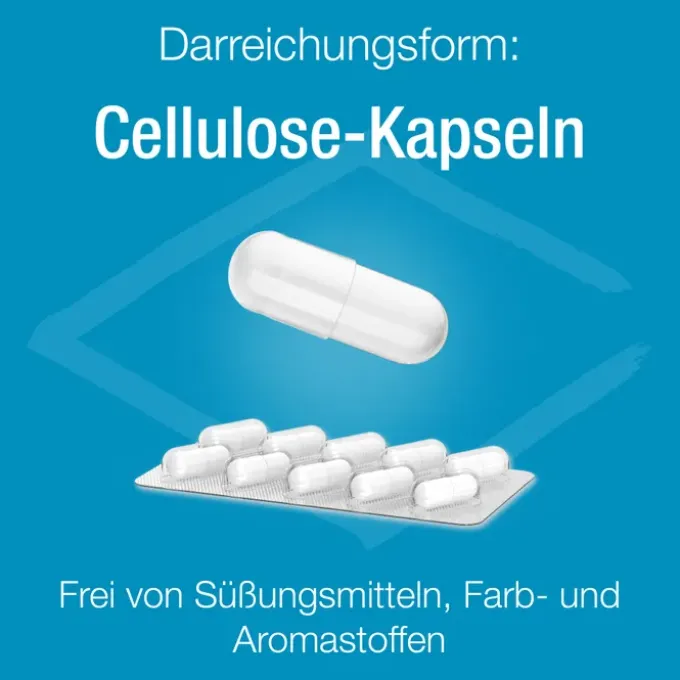 MAGNESIUM VERLA purKaps 60 Stück