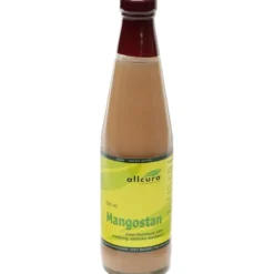 MANGOSTAN Wildwuchs reines Fruchtmark 100% Saft 500 ml