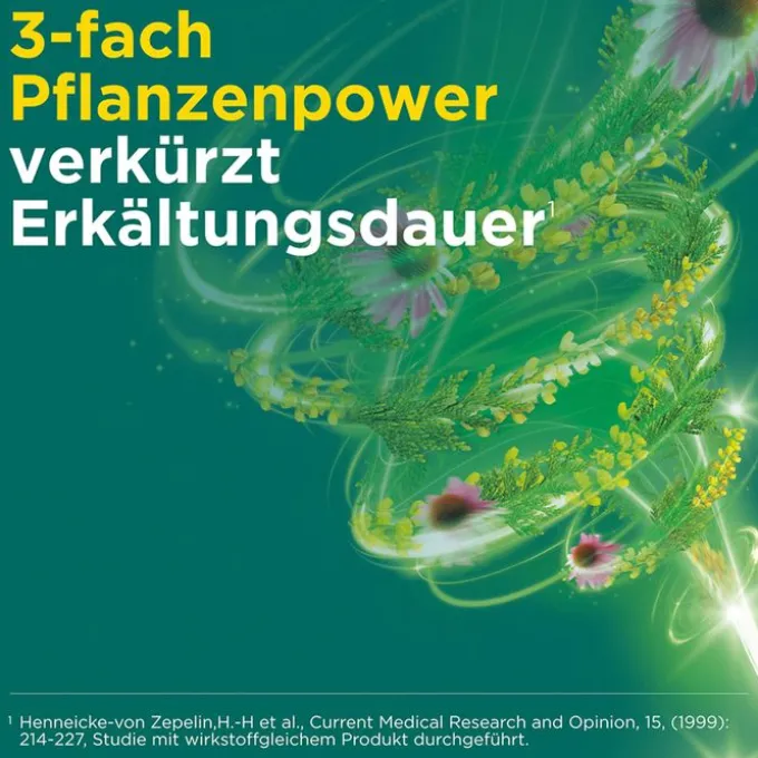 MEDITONSIN Extract pflanzliche Erkältungstabletten 60 St