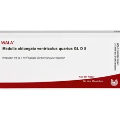 MEDULLA OBLONGATA Ventriculus quartus GL D 5 Amp. 10X1 ml