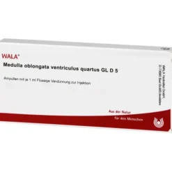 MEDULLA OBLONGATA Ventriculus quartus GL D 5 Amp. 10X1 ml