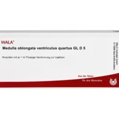 MEDULLA OBLONGATA Ventriculus quartus GL D 5 Amp. 10X1 ml