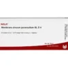 MEMBRANA sinuum paransalium GL D 4 Ampullen 10X1 ml